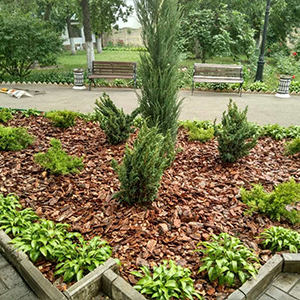 Хвойная мульча в Санкт-Петербурге купить - оперативная доставка по всей России