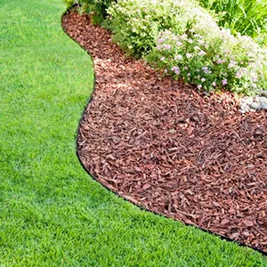 Сосновая щепа оптом в Санкт-Петербурге и других различных марок заказать от 16 тонн