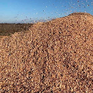 Щепа топливная оптом в Санкт-Петербурге от завода-производителя Лигнум Ресурс